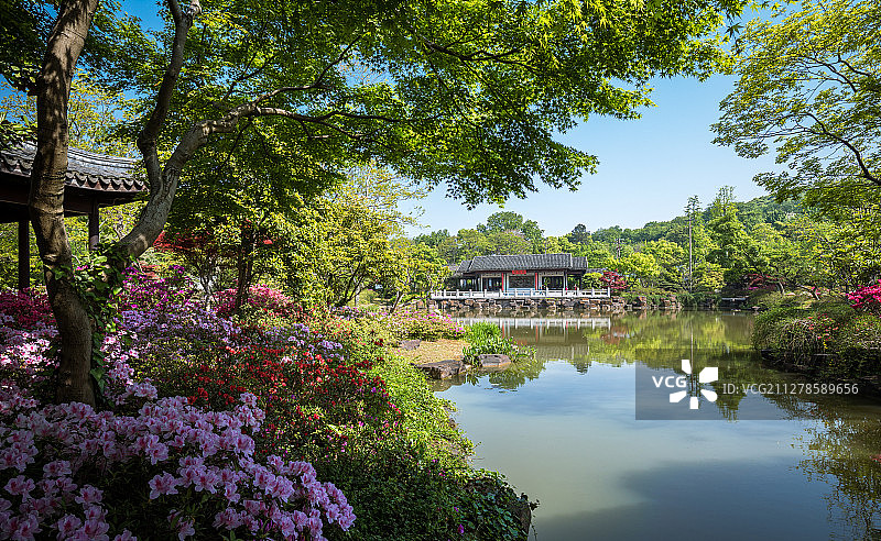 满园春色图片素材