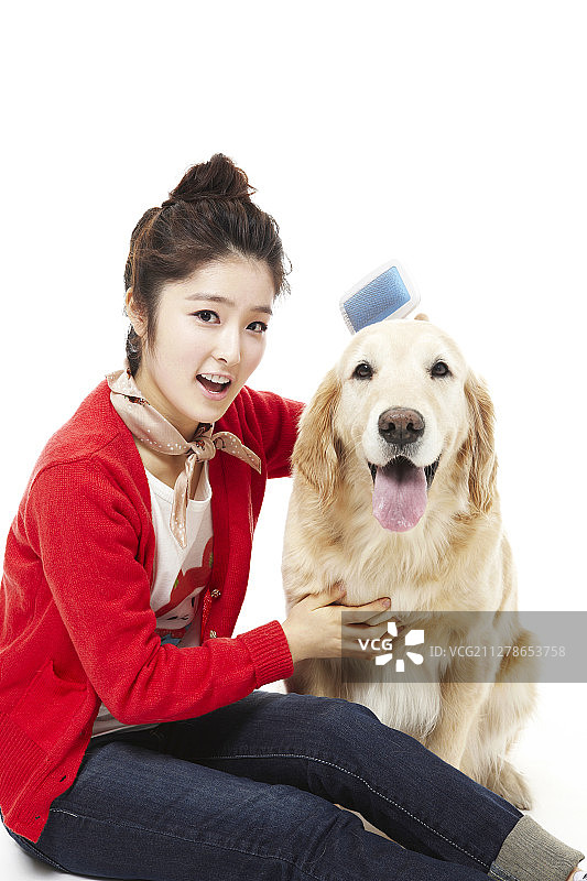 女人梳理金毛犬毛发的摄影作品图片素材