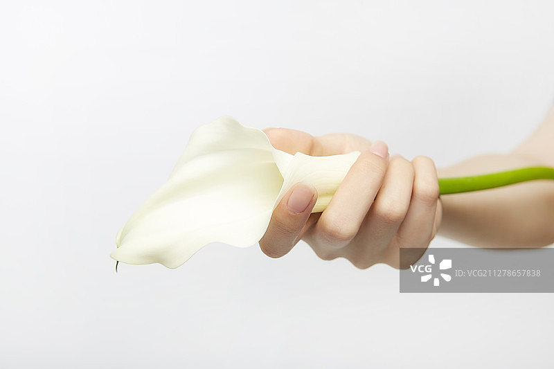 拍摄：女人手持鲜花图片素材