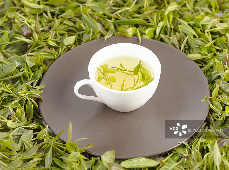 用白色的茶杯泡新鲜的绿茶图片素材
