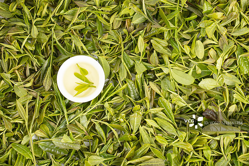 白色的小茶杯泡着新鲜的茶叶图片素材