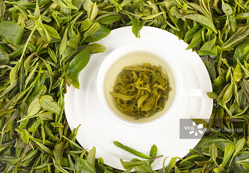 用白色的茶杯泡新鲜的绿茶图片素材