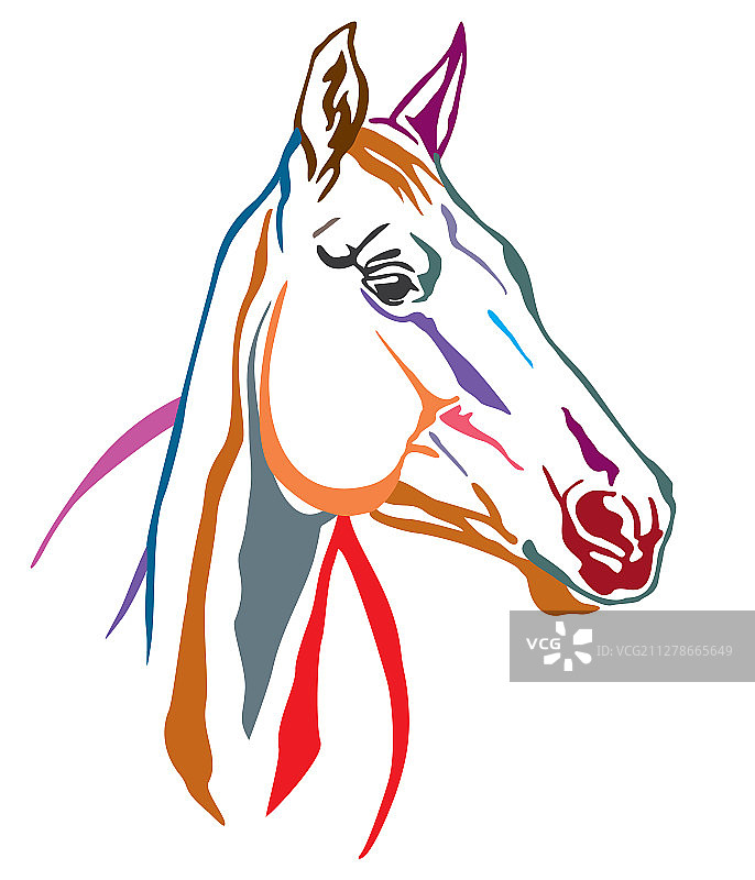 彩色装饰马 5图片素材