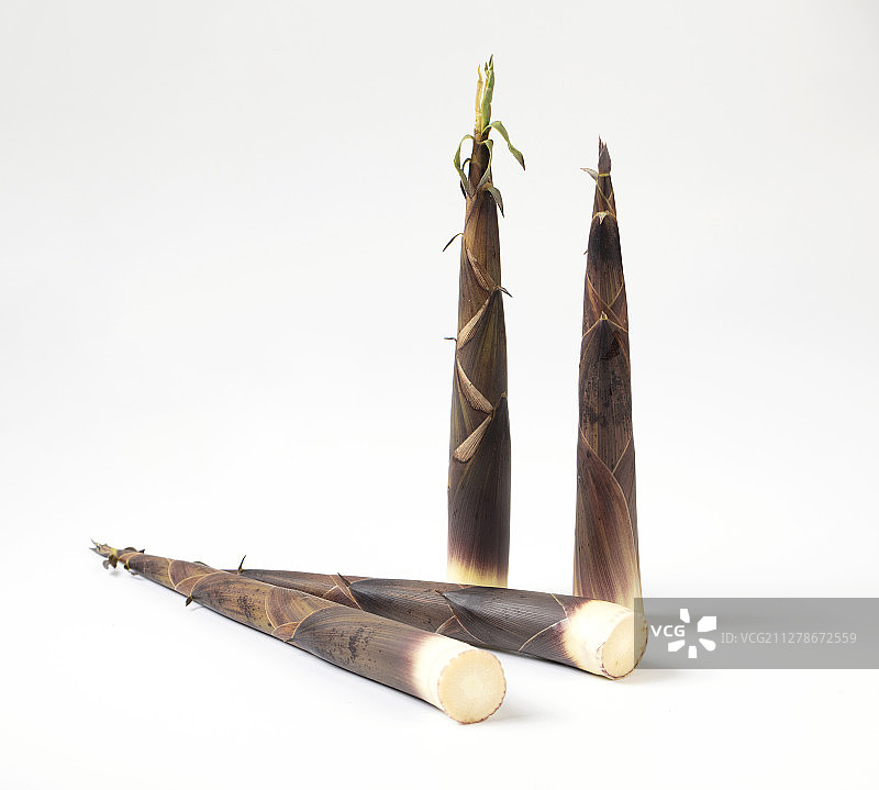 带笋壳的小竹笋图片素材