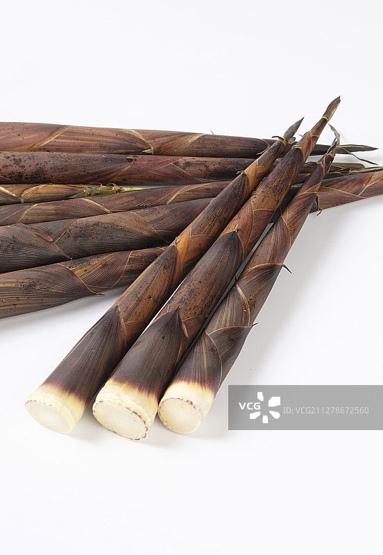 带笋壳的小竹笋图片素材