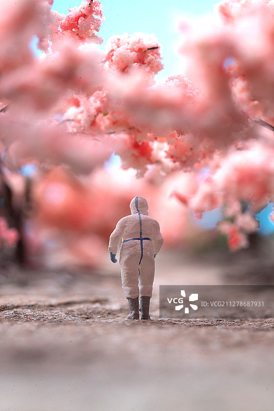 樱花树下的医护人员的背影图片素材