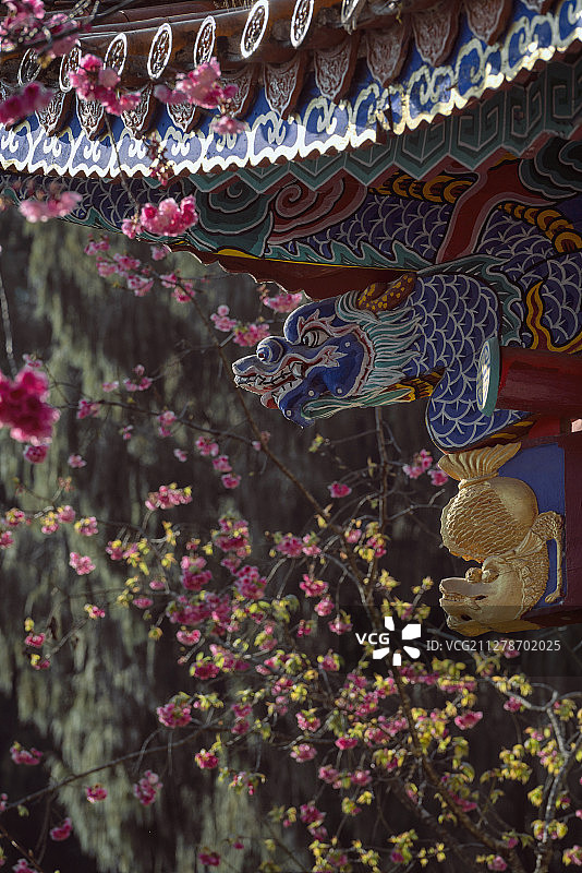 樱花盛开的古建筑斗拱图片素材