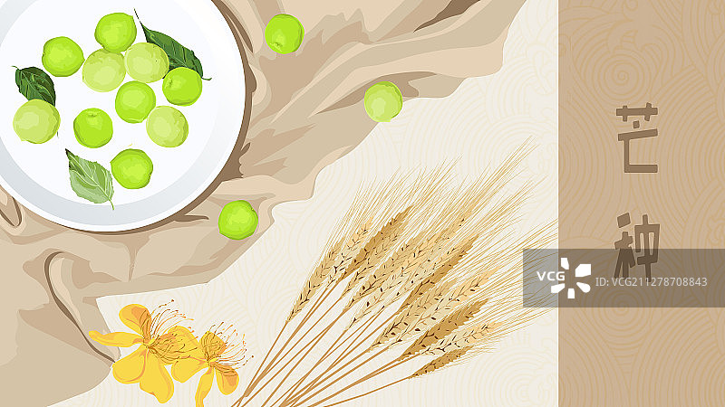 芒种节气二十四节气花卉与饮食横版图片素材