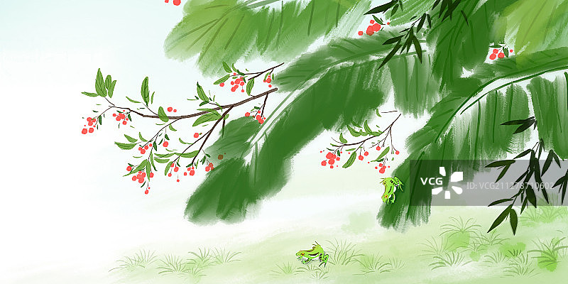 传统文化二十四节气夏季小满红了樱桃绿了芭蕉青蛙图片素材