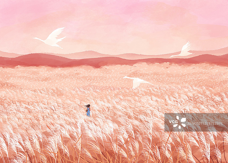 四季的色彩景观节气插画白露横版图片素材