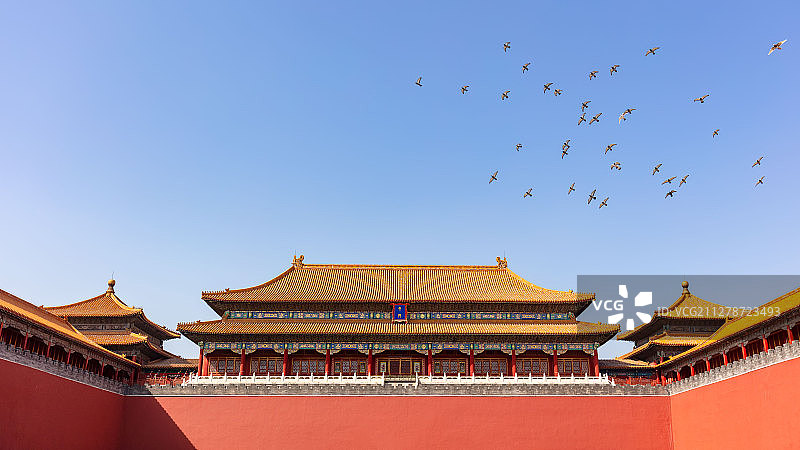 故宫午门飞鸽图片素材