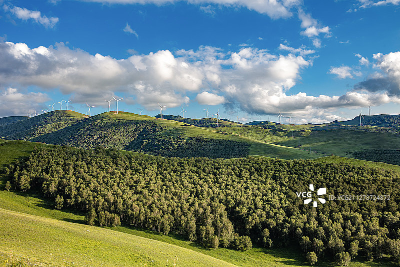 河北塞罕坝草原林场风光图片素材