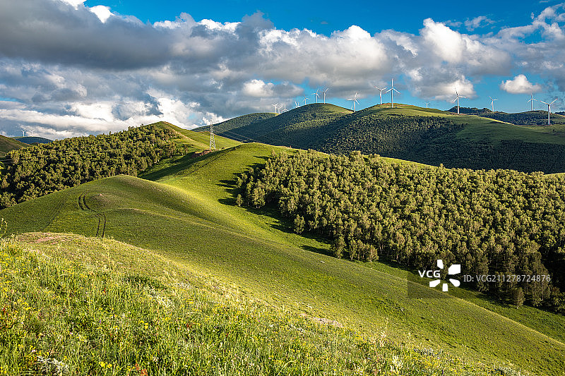 河北塞罕坝草原林场风光图片素材