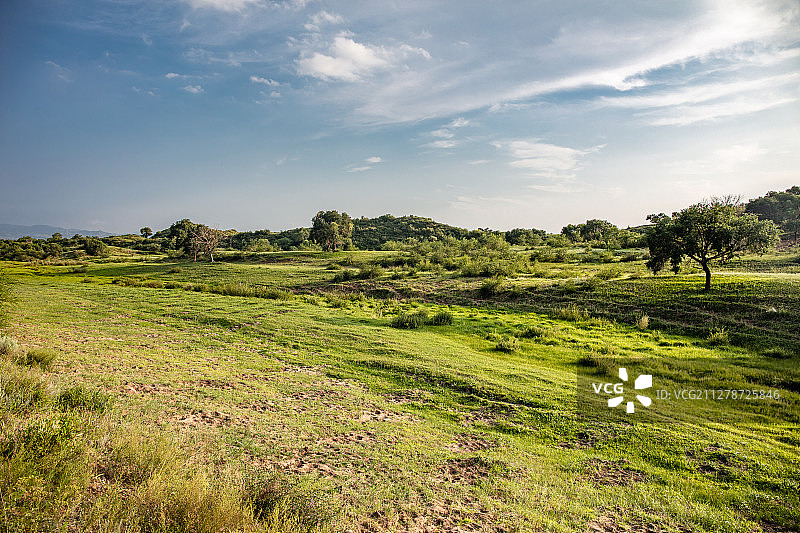 坝上草原荒野路面汽车广告背景图图片素材