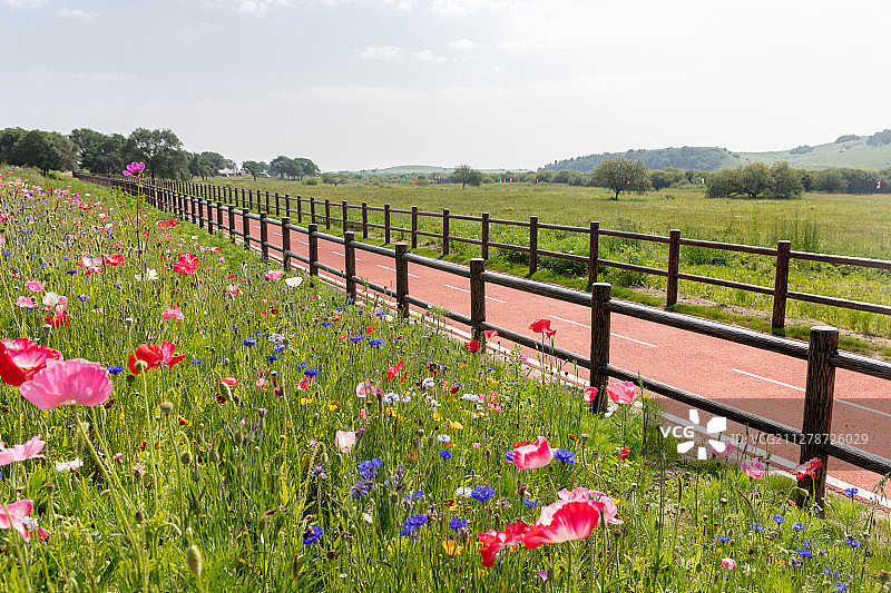花海自行车跑道图片素材