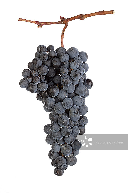 葡萄串图片素材
