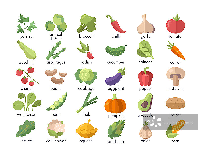 白色背景上命名的大型彩色蔬菜套装图片素材