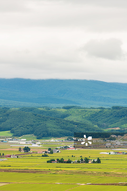 日本北海道富良野乡村田园风光高视角图片素材