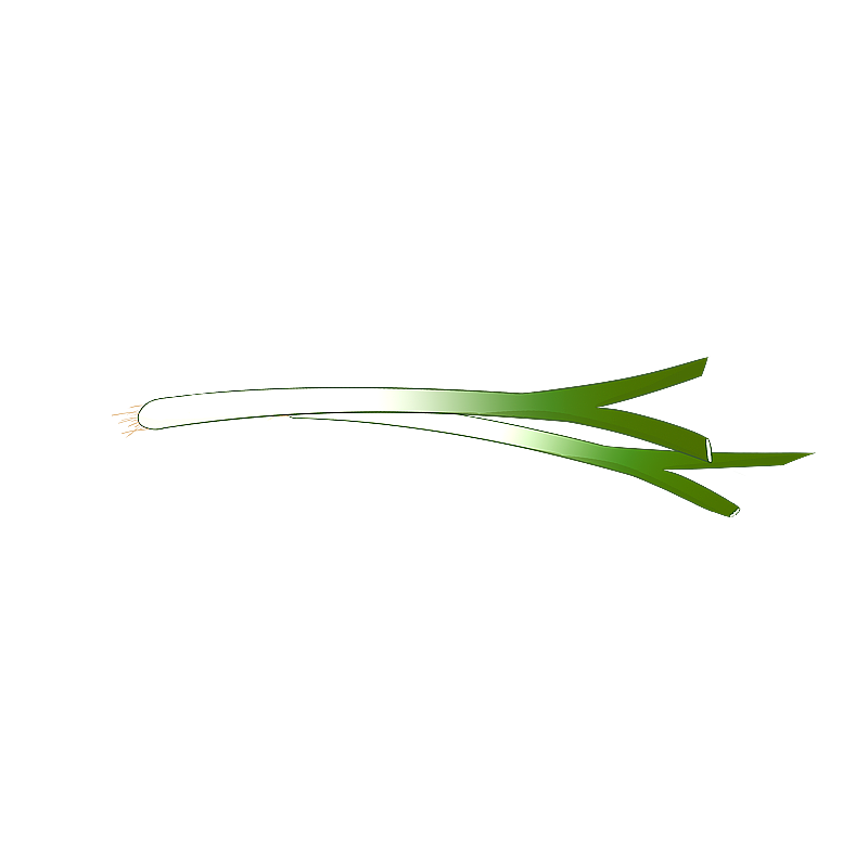 一颗大葱图片素材