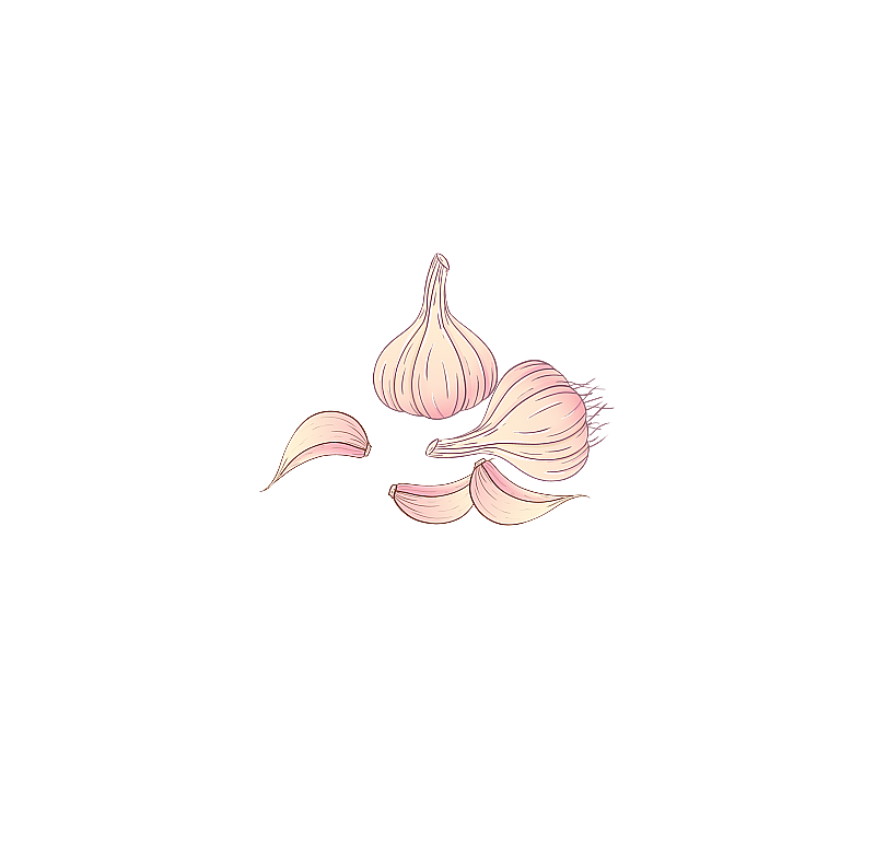 一颗大蒜图片素材