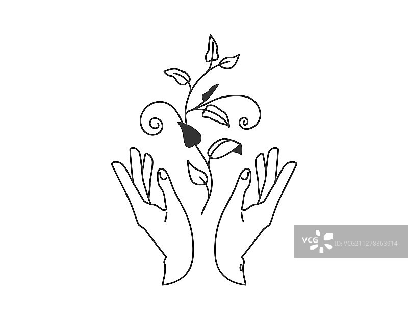 双手捧着带叶植物图片素材