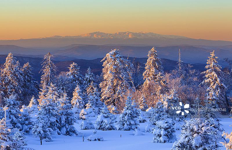 白雪覆盖的冬日森林美景，远眺朝鲜白山图片素材