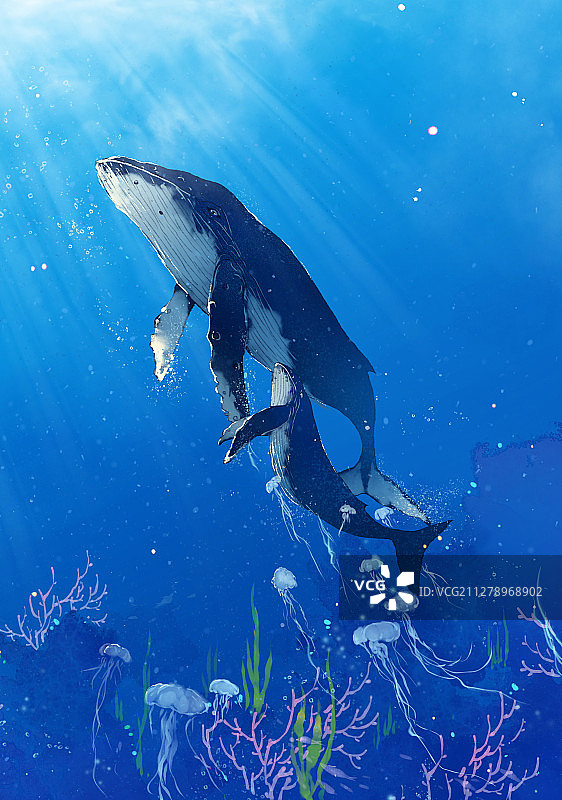 小清新水彩风格古风风景插画 鲸鱼图片素材