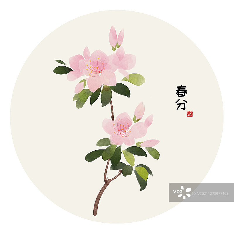 二十四节气花草插画 春分 杜鹃花图片素材