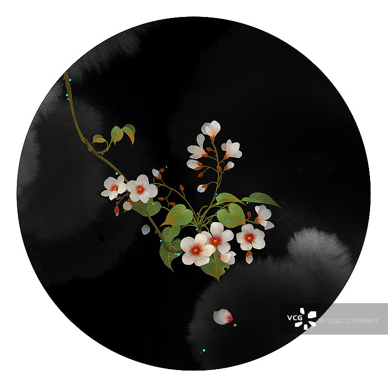 水彩花草插画 桐花图片素材