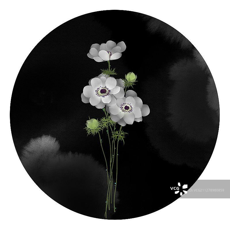 水彩花草插画 银莲花图片素材