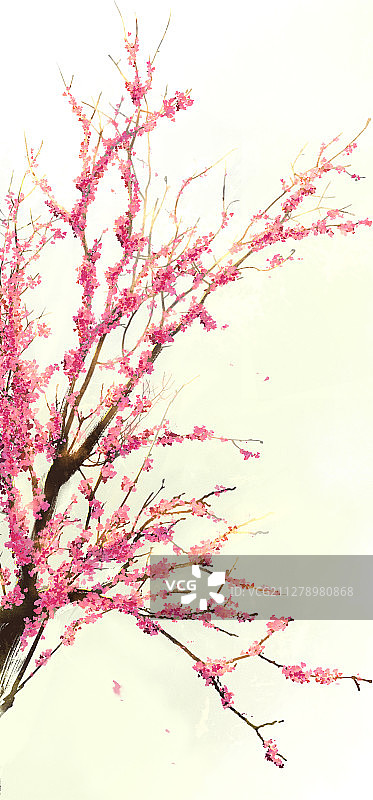 水彩花草插画 紫荆花图片素材