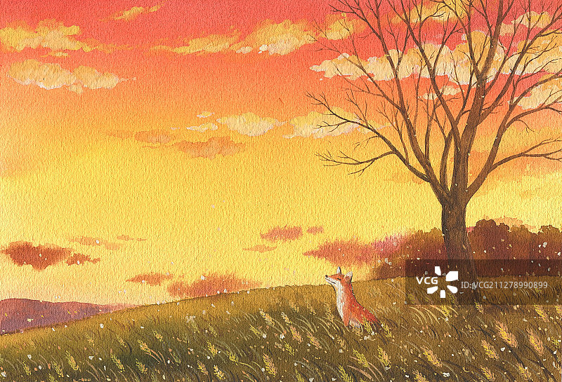 手绘狐狸图片素材