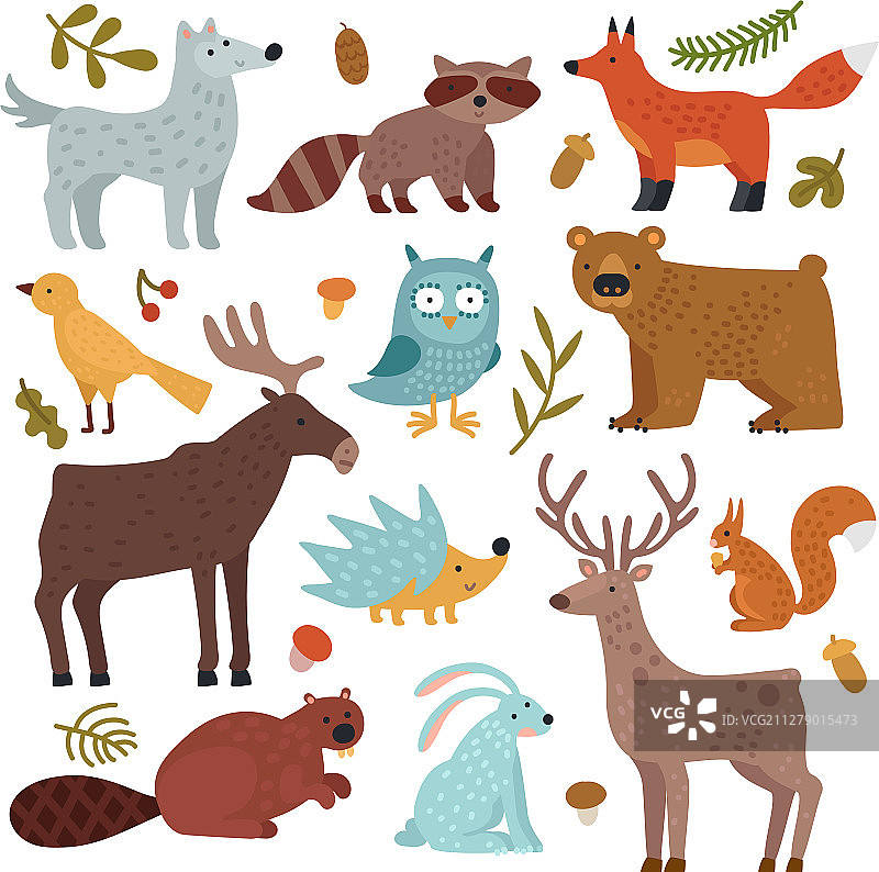 森林动物：狼、浣熊、狐狸和熊图片素材