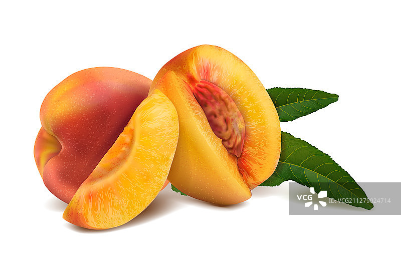 桃子VN 2图片素材