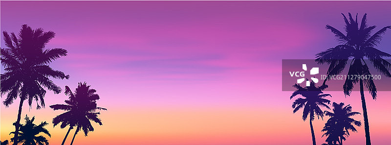日落或日出时分的深色棕榈树剪影图片素材