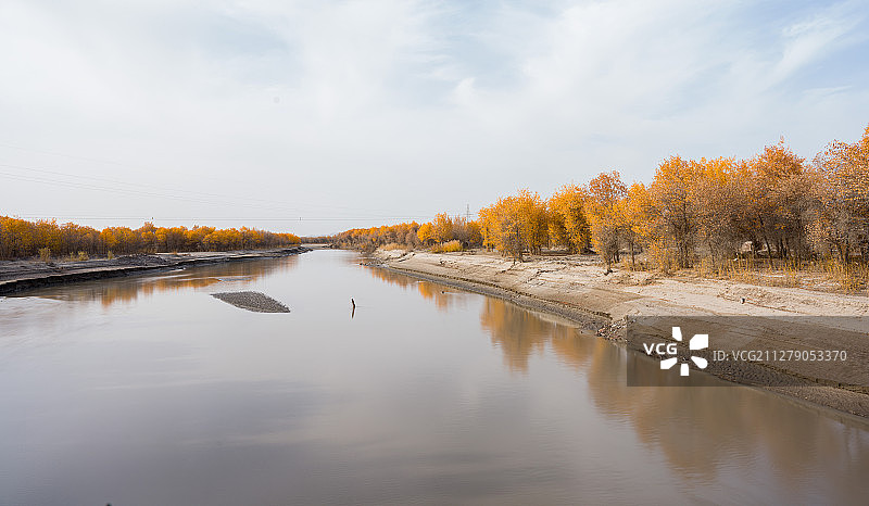 新疆盐山胡杨林图片素材