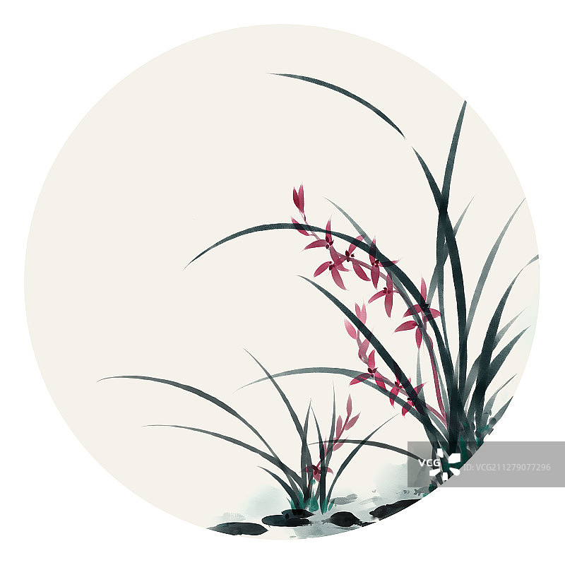水彩花草插画 兰花图片素材