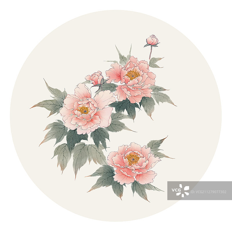 水彩花草插画 牡丹花图片素材