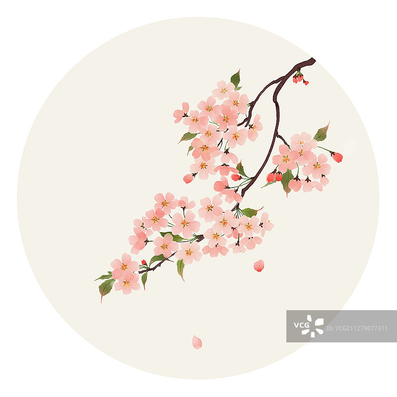 水彩花草插画 樱花图片素材