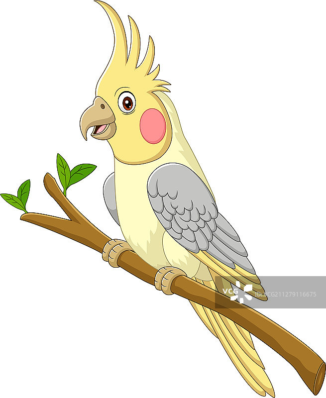 卡通黄色鸡尾鹦鹉栖息在树枝上图片素材