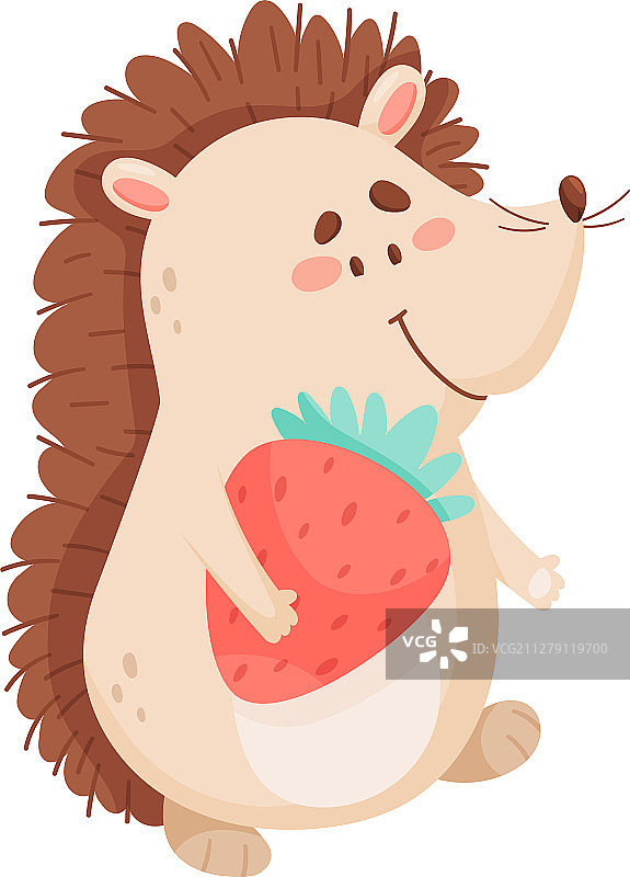 有趣的刺猬 carrying 大草莓图片素材
