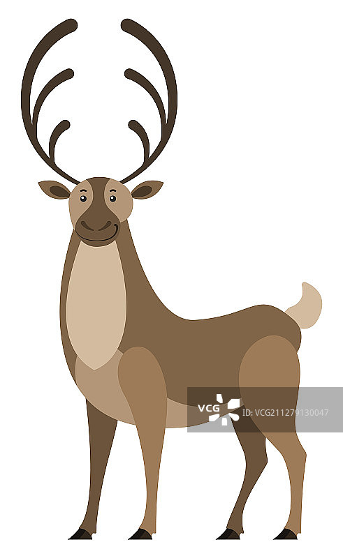 带大角的野生鹿图片素材