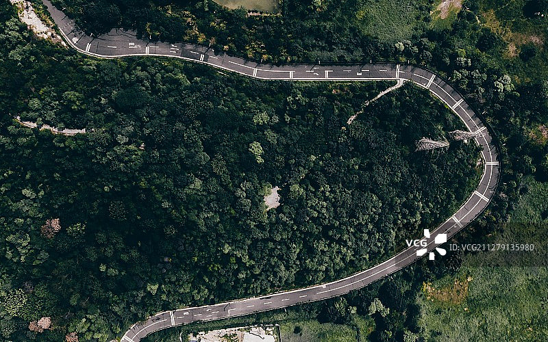 广东佛山顺德陈村都宁岗森林公园 山路图片素材