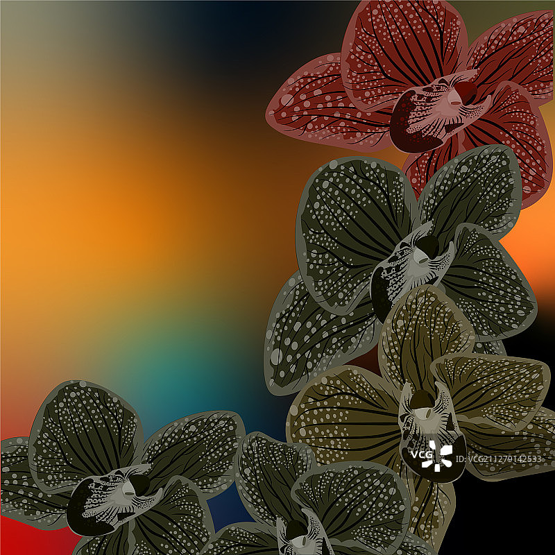 概念设计抽象暗色兰花图片素材