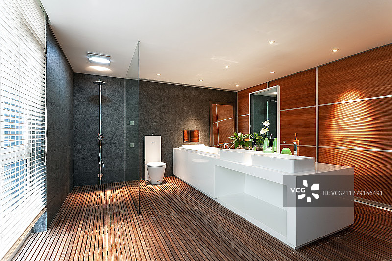 样板房别墅卫生间图片素材