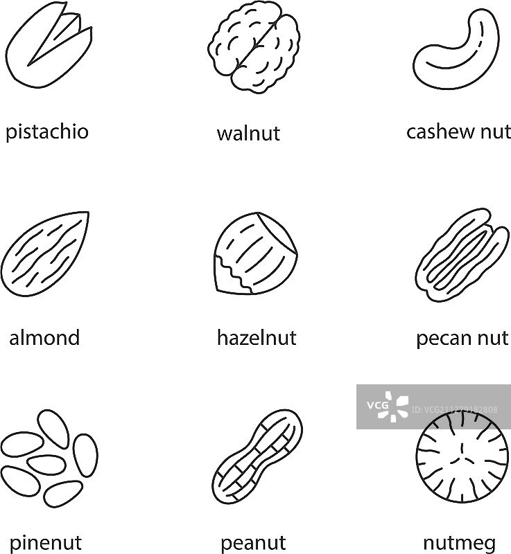 坚果种类线性图标集图片素材