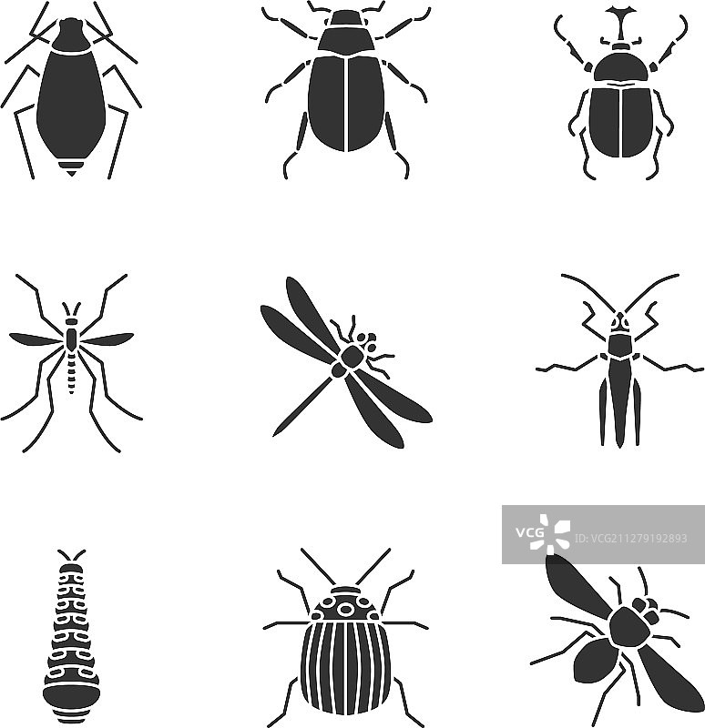 昆虫字形图标集图片素材