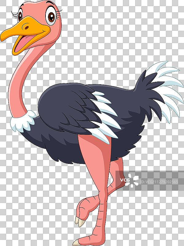 白色背景上的可爱鸵鸟卡通图片素材