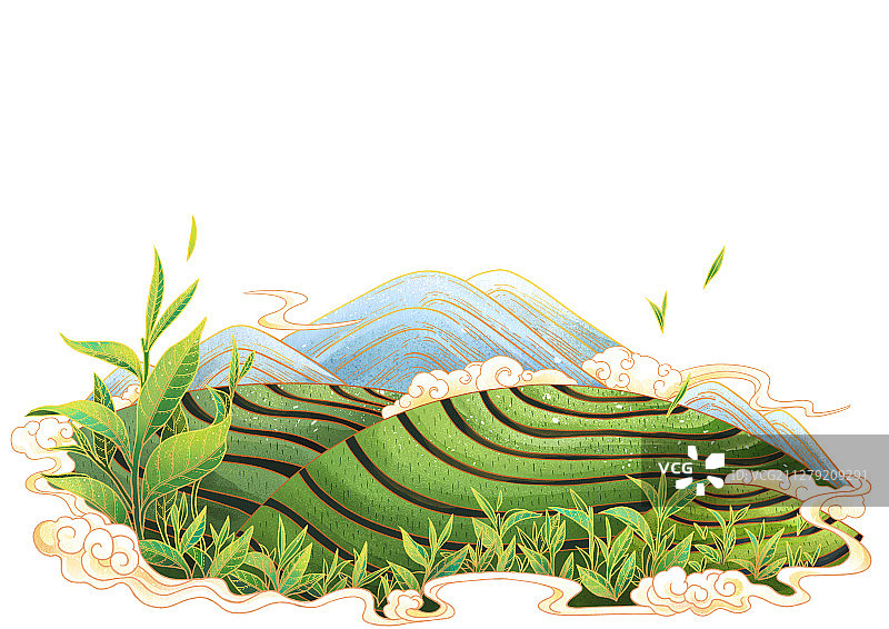 茶叶茶山春茶插画图片素材