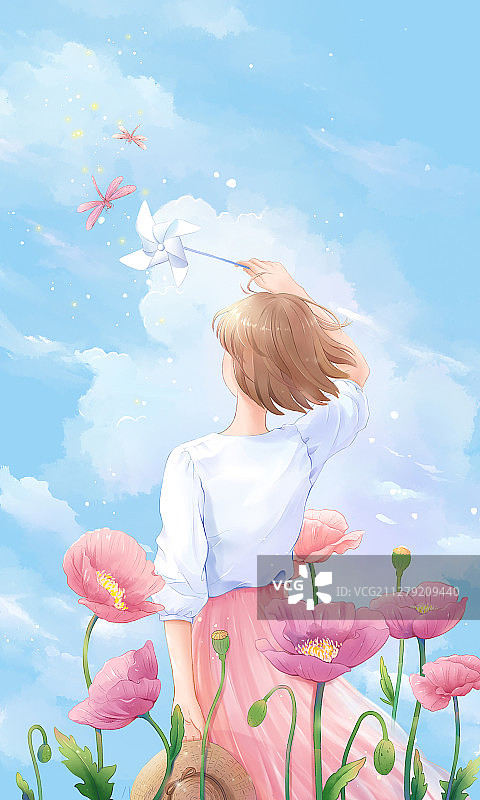 虞美人盛开的夏天图片素材